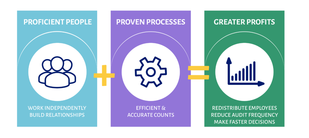 audit process graphic